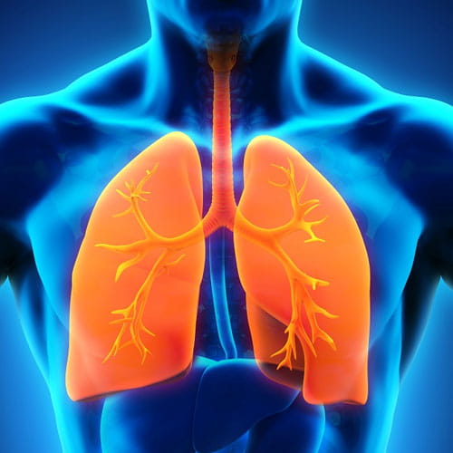 Pulmonology